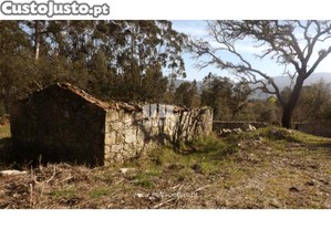 Casa Rústica  Caminha