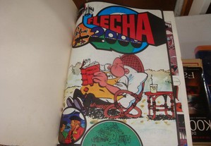 imagem_2