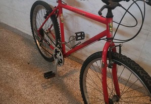 Bicicleta de btt