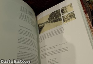 imagem_11