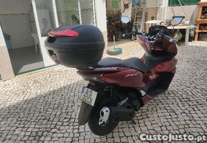 imagem_3