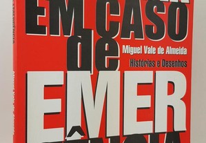 Miguel Vale de Almeida // Quebrar em caso de...