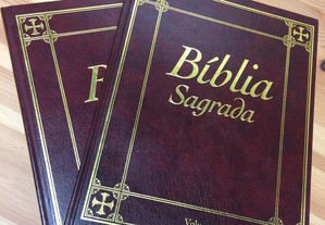 Biblia Sagrada, vol. I e II - Paulus editores
