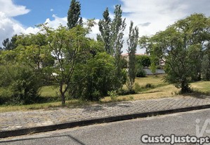 imagem_20