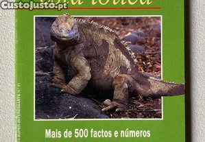 imagem_1