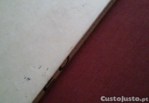 imagem_7