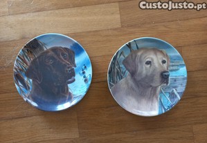 Dois pratos decorativos