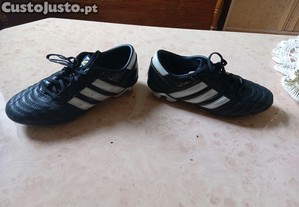 imagem_5