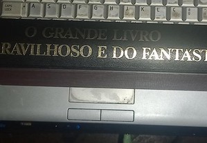 imagem_8