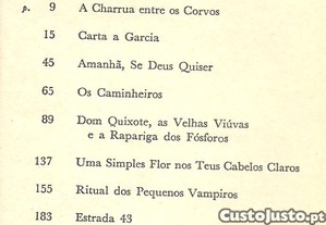 imagem_8