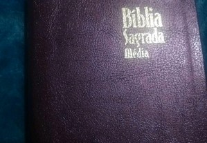 Bíblia Sagrada ( ARC - Almeida revista e corrigida)