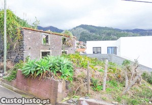 imagem_7