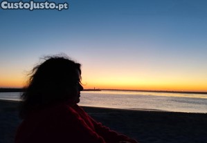 Empregada, acompanhante idosos, cuidado de animais