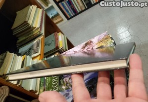 imagem_4
