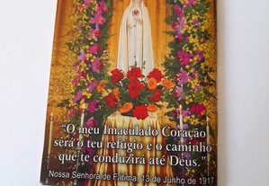 imagem_8