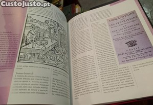 imagem_3