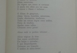 imagem_5
