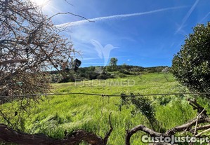 Terreno em contins, a 10 minutos de mirandela