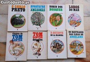 imagem_2