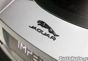 imagem_21