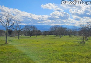 Terreno Frechão 2.2ha
