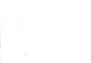 imagem_2