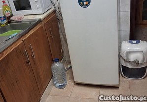 imagem_1