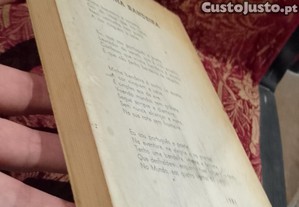 imagem_8