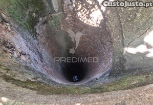 imagem_19