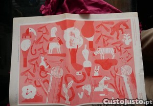 imagem_6