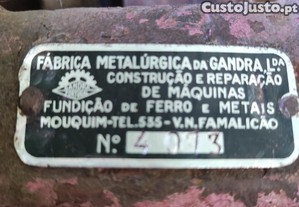 imagem_8