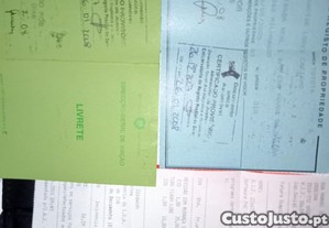 imagem_5