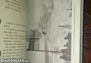 imagem_4