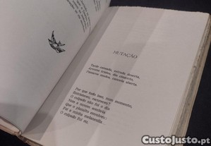 imagem_9