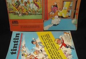 Livros Tintin Revista dos Jovens 3º ano Completo