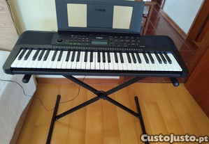 imagem_6