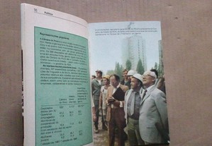 imagem_5