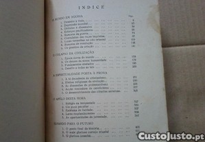 imagem_8