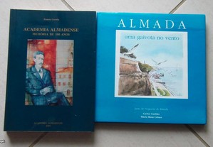 imagem_2