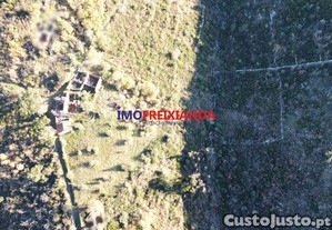 imagem_7