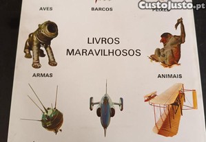 imagem_6
