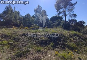 imagem_31