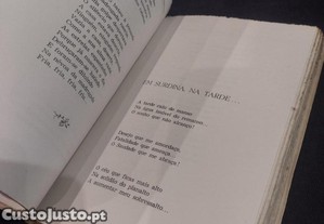 imagem_8
