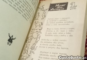 imagem_8