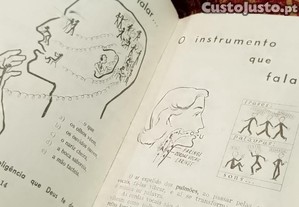 imagem_13