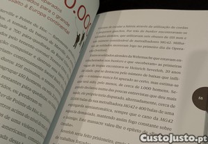 imagem_7
