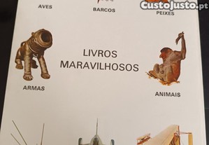 imagem_5