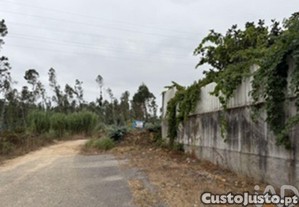 imagem_11