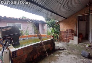 imagem_15