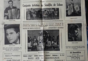 imagem_8